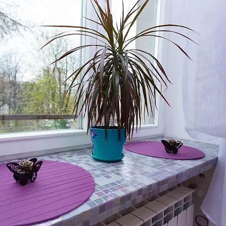 In The Center Kirova 6 Apartament *